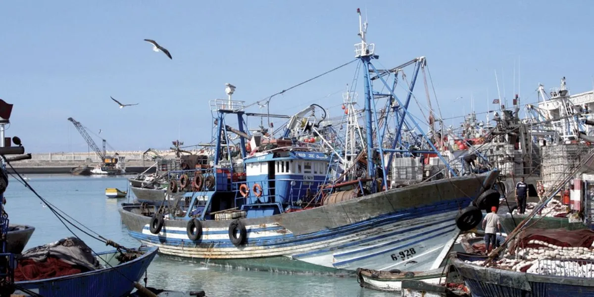 Pêche côtière et artisanale : hausse des débarquements de 2% à fin février